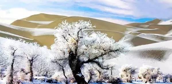 甘肃沙漠居然下雪了, 刚拍的! 简直美到爆! 一组照片惊艳全国~