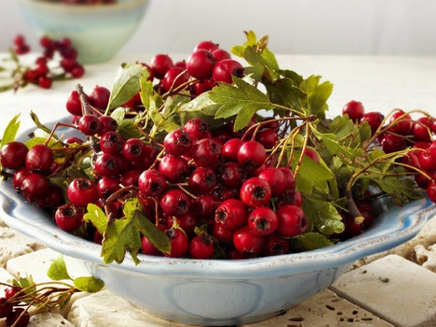 专家教我的山楂减肥法，每天只要一小勺，两周减肥20斤！