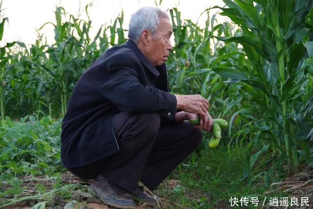  难题■农村50后60后农民还将面临4大难题，早做打算吧