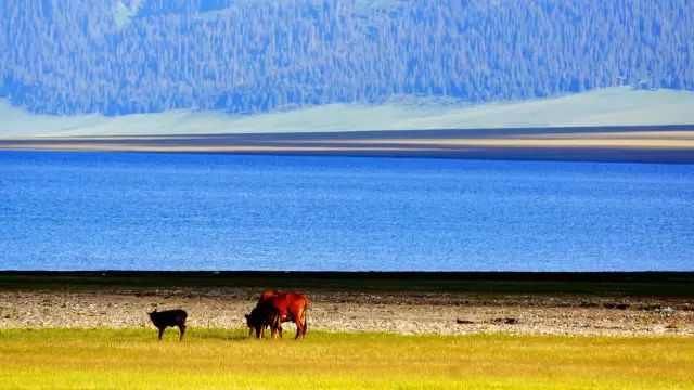 这8个超级小众的旅行胜地,不去过一次太亏,不输著名景点