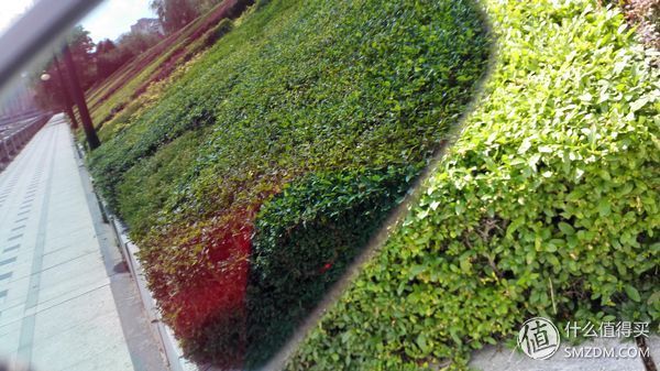 为你的运动加点料-高特GT66001-CO25近视运动太阳镜