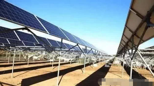  「解决」中国在发电站放了几千只羊，解决世界级难题，西方佩服