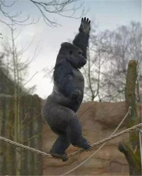 幽默段子:竟然发现一个单词也听不清。心想:不会是被无良商家坑了