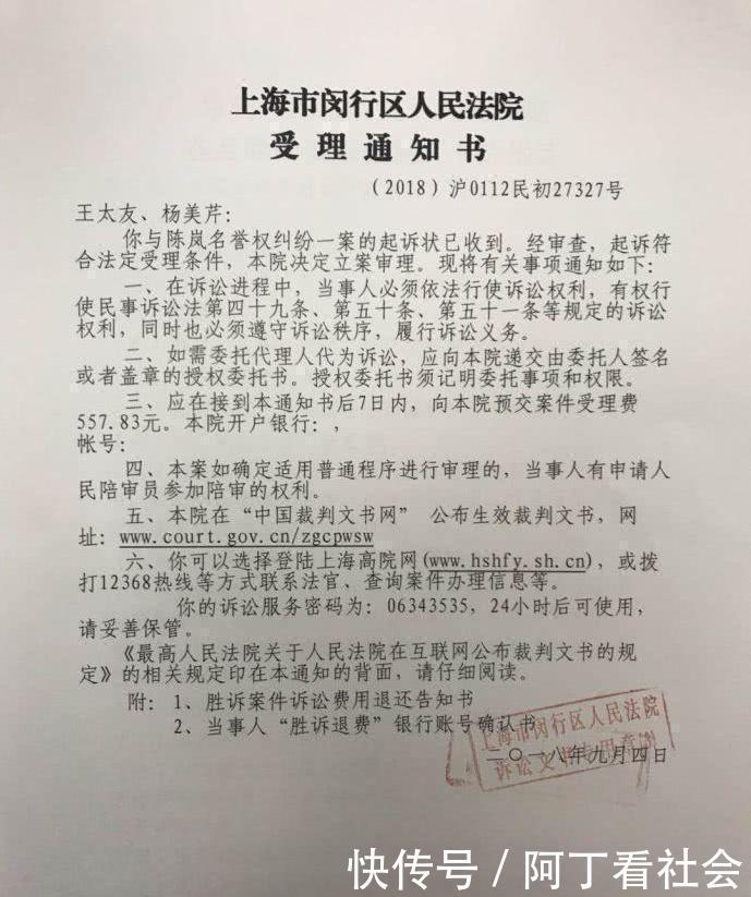 王凤雅家属起诉名誉侵权立案, 作家陈岚否认造谣, 律师: 不是她说