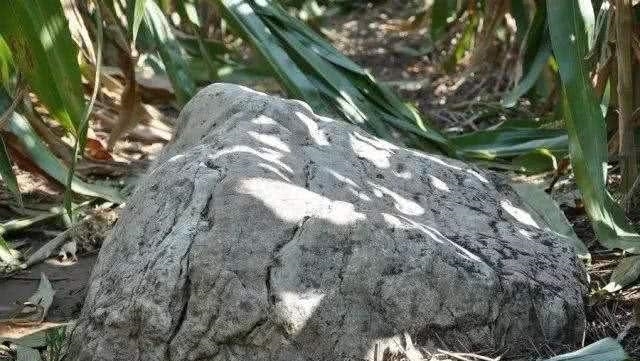 全世界最小的山，仅仅0.6米却无人敢登攀！