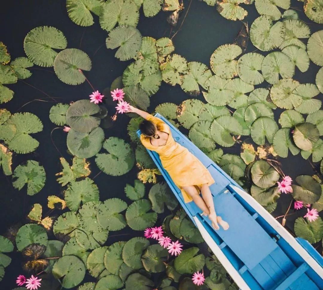 年末再添电子签，12月旅行不要停！