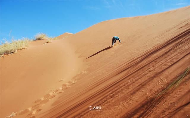 非洲最古老的沙漠：寸草不生却拥有大量动植物，困扰了无数专家