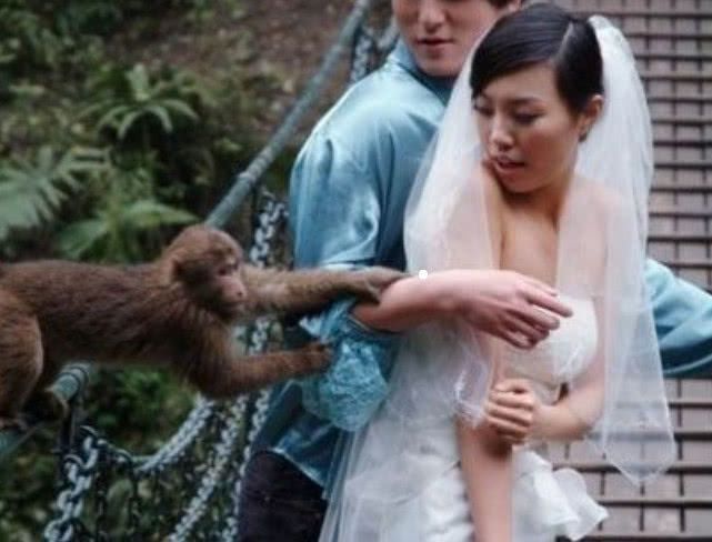 峨眉山上的猴子拦路打劫游客，但最怕这样东西，游客：智商比我高