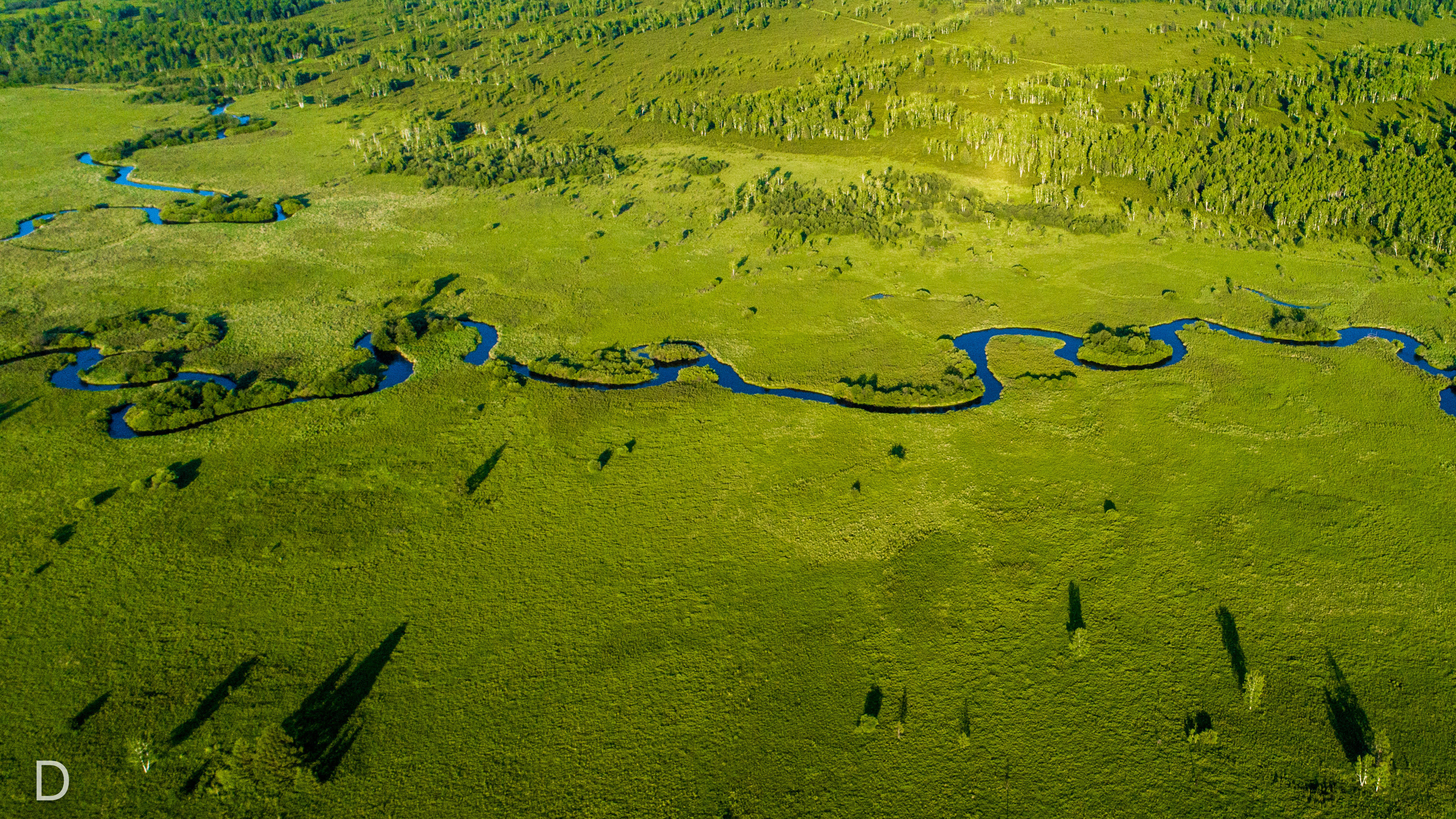 父亲的草原母亲的河,呼伦贝尔大草原找寻中俄边境上神奇的额尔古