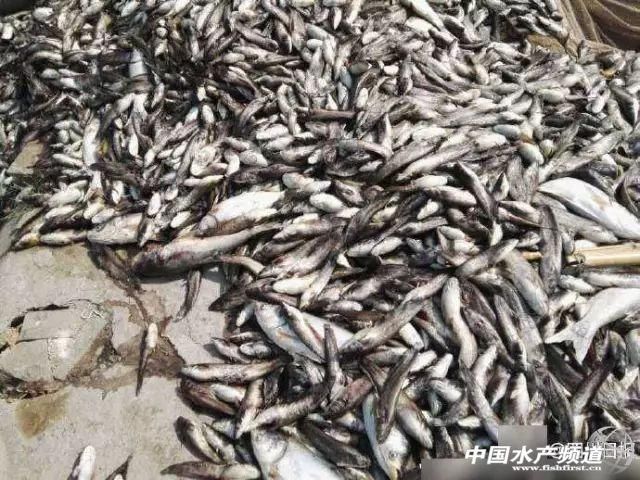 要热到40-45℃？！高温热害席卷22省