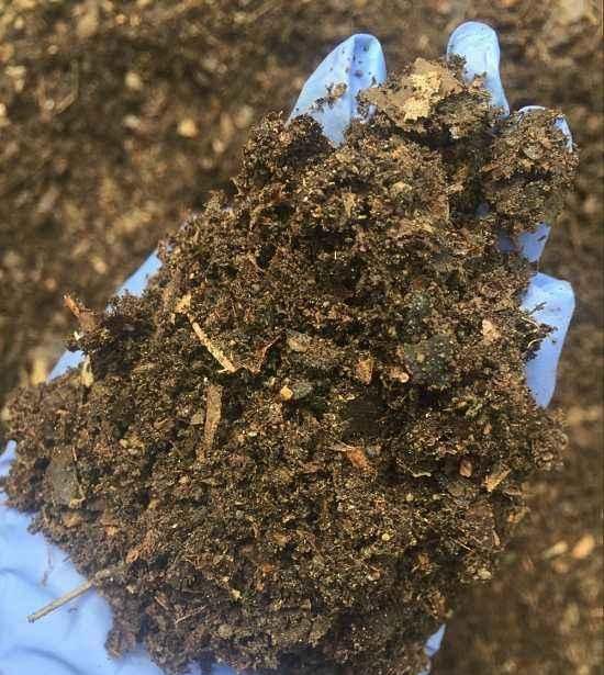  必知：养花必知的5个“窍门”，简单实用，长得茂盛不怕烂根！