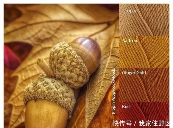  【色彩】「编织技巧」零基础也能学会的色彩搭配小技巧，配色太重要了