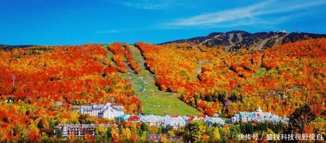 加拿大最宜居的4个地方,逃离城市,在这里治愈焦虑