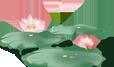 「蝶恋花」我们向往的美,都在宋词里(必读)