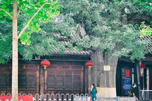 这座400年历史的古民居,在被发现藏宝洞以后,就更加的神奇了