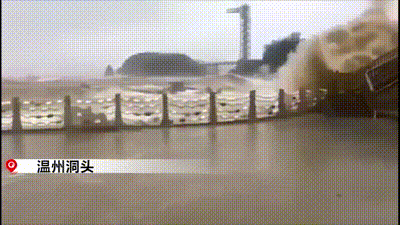 台风“利奇马”已致18人遇难！暴雨预警 大风！河北最新通知！这