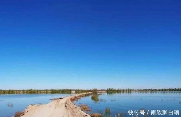 王安石晚年骑毛驴游览钟山时写下一首词,抒发自己看淡功名的心态