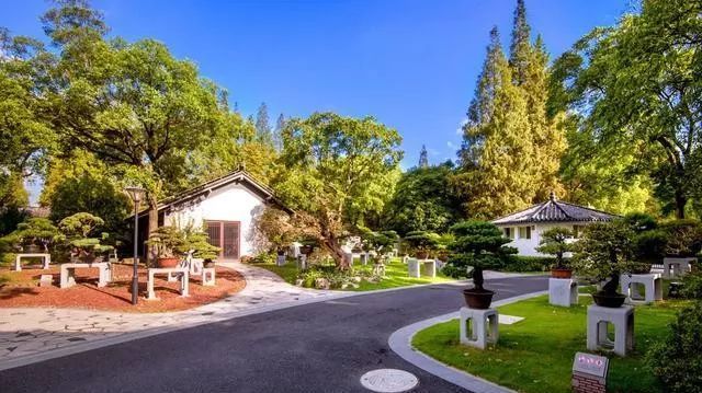 国内最大的专类盆景园,江南园林海派风格美不胜收