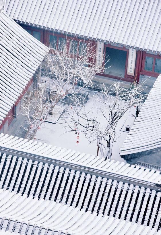 “故宫的雪”美爆热搜，北京一夜变回紫禁城！网友看完却说……