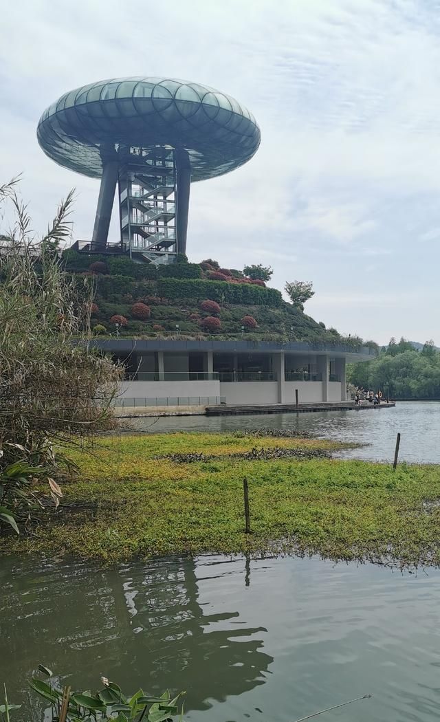  【失误】一个大的失误，造成鱼杆失踪！含泪警告钓友