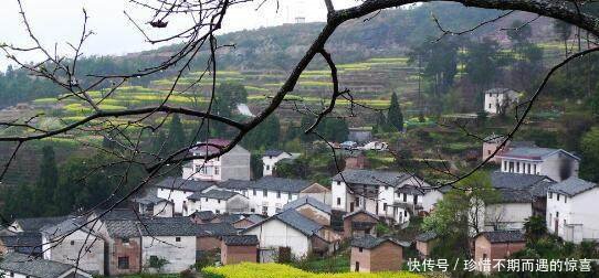 明年起，国家将严查村干部这三件事，农民朋友们可以放心了