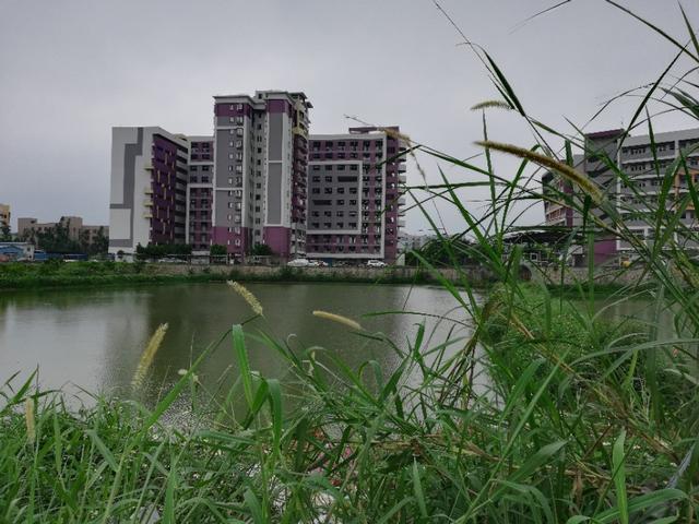  【农村】我们为什么非得去城市买房子？告诉你农村人的真实想法