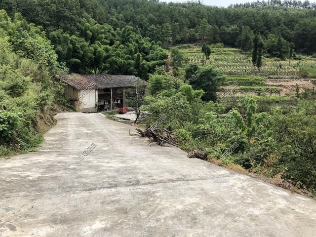  房盖■重庆刘先生回乡建洋楼，光挖机费就花了2万多，这房盖的有