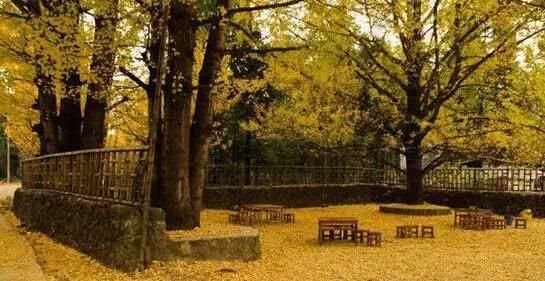 浙江不只有江南烟雨，这10个地方藏着浙江的绝美秋景