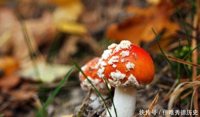 以前夏天，农民都会去赚这个钱，不偷不抢，干活有劲，数钱更乐