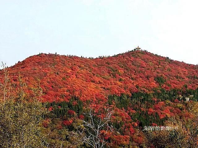 郑州巩义有条最美自驾公路，山路弯弯风光美，红叶奇石禅意浓