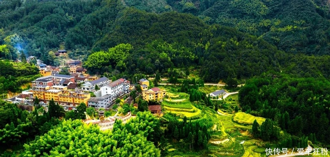 一定要去看看!景宁郑坑那片藏在山间的绝美梯田,惊艳了整个秋天