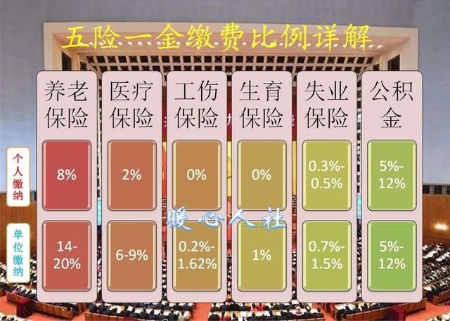年轻人到底该不该缴纳社保？这四个理由足以说服你