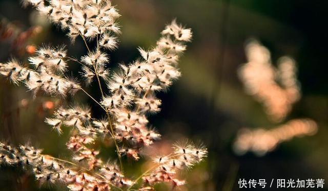 金刚经到底是什么经修行金刚经会获得什么福报