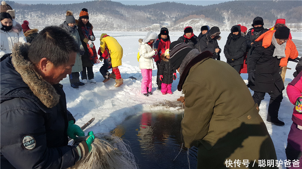 难得一见的冬捕场景在这里天天上演,野生鱼刚