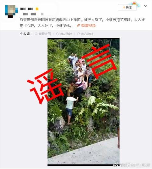 网传贵州紫云一妇女带小孩上山摘菌被挖眼系谣言