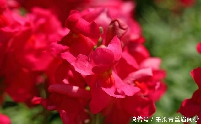 『性格』这四大星座女生不喜欢浓妆艳抹