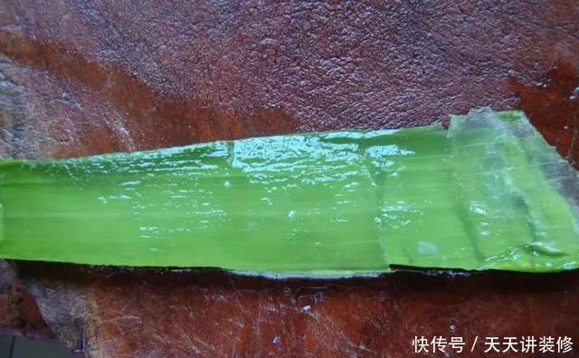  『做成』10年芦荟老桩，枝干“胳膊粗”，做成“盆景”价值高！
