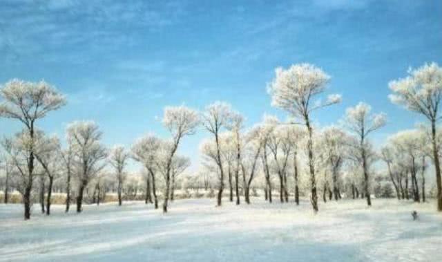 山西下雪了！朔州这几个地方最适合看雪，每个都美的不一样