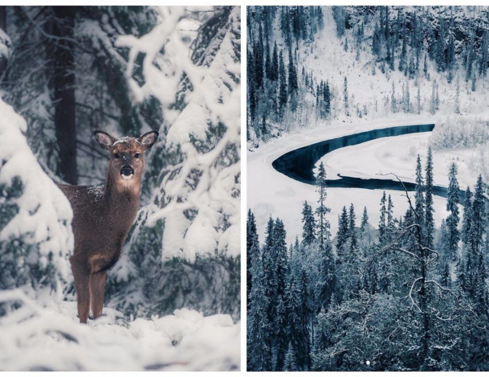 一年有200多天环球旅行，25岁芬兰野生摄影少年，6年ins圈粉120万