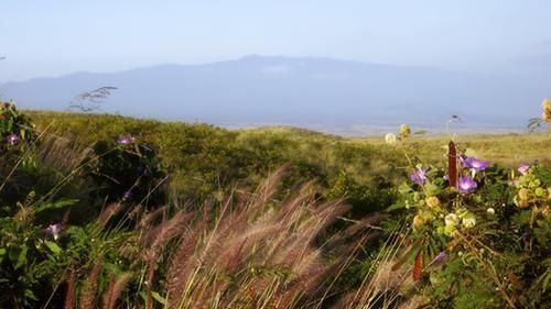  搬走：世界上一个潮湿的村庄：一年中330天在下雨，村民依然不愿