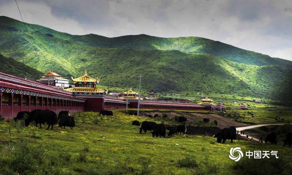 美丽的红原大草原