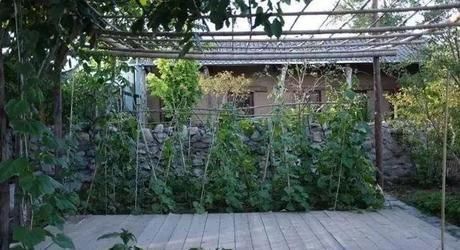 『小院』20多岁的年龄差距,却把一个破烂的农家小院变成了“桃花源”