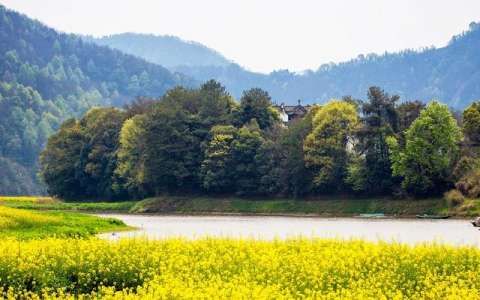 句子虽短,句句入骨,句句在理,句句经典