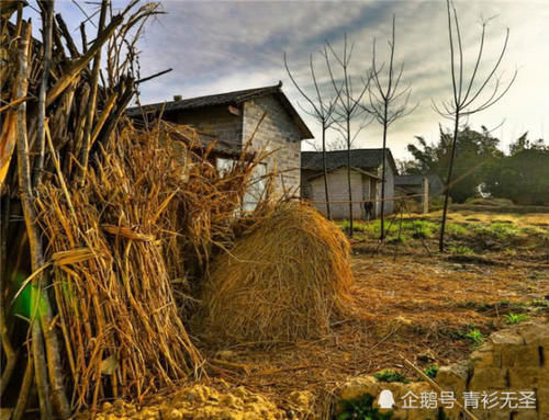  个人账户@农村养老保险每年缴纳100元，缴纳15年退休后，每月能