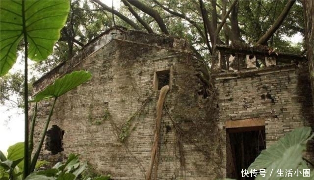 这个村庄堪称中国版吴哥窟，已经荒废二十年，如今已被植物吞噬