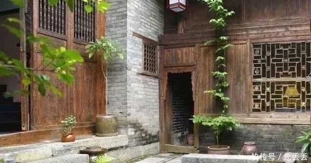  『养花』有个小院子，喝茶养花玩石头