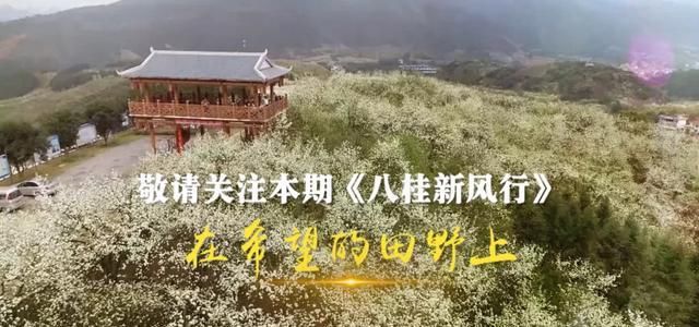 『脱贫攻坚』“三月三”,看广西这些地方的春天故事