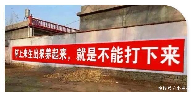 从计划生育到鼓励二胎, 农村计生标语的对比, 让人笑着笑着哭了!