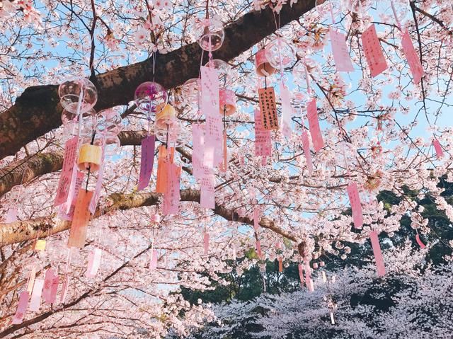 美过婺源!国内最适合全家游自驾赏花地,不收门票,美的鲜为人知