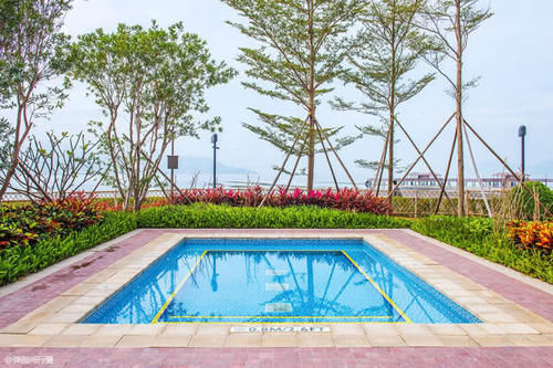 粤港澳大湾区风景